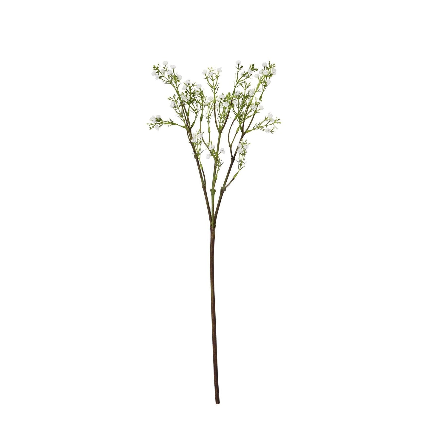 Lily Of The Valley - Eudemonia Home Goods