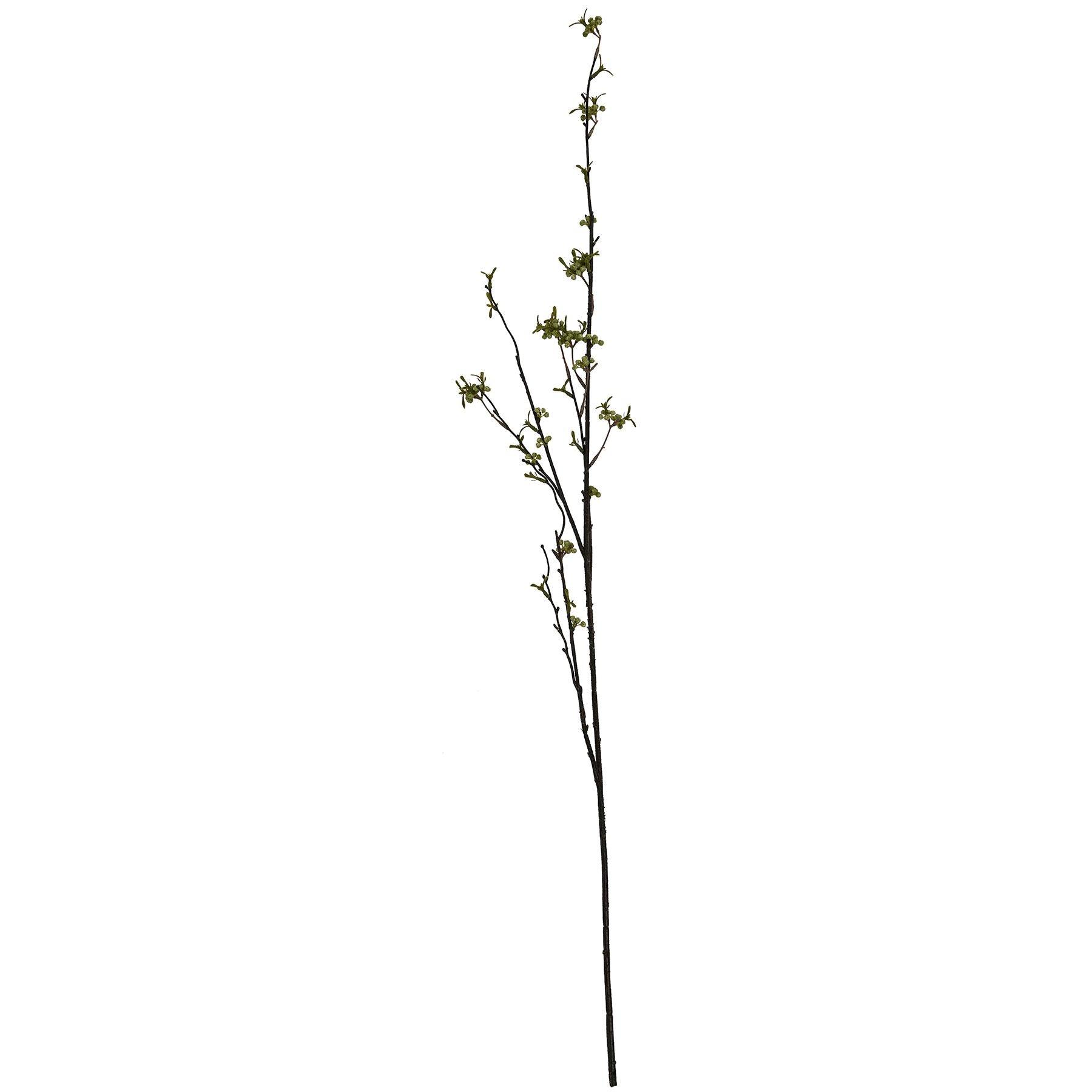 Green Berry Willow Stem - Eudemonia Home Goods