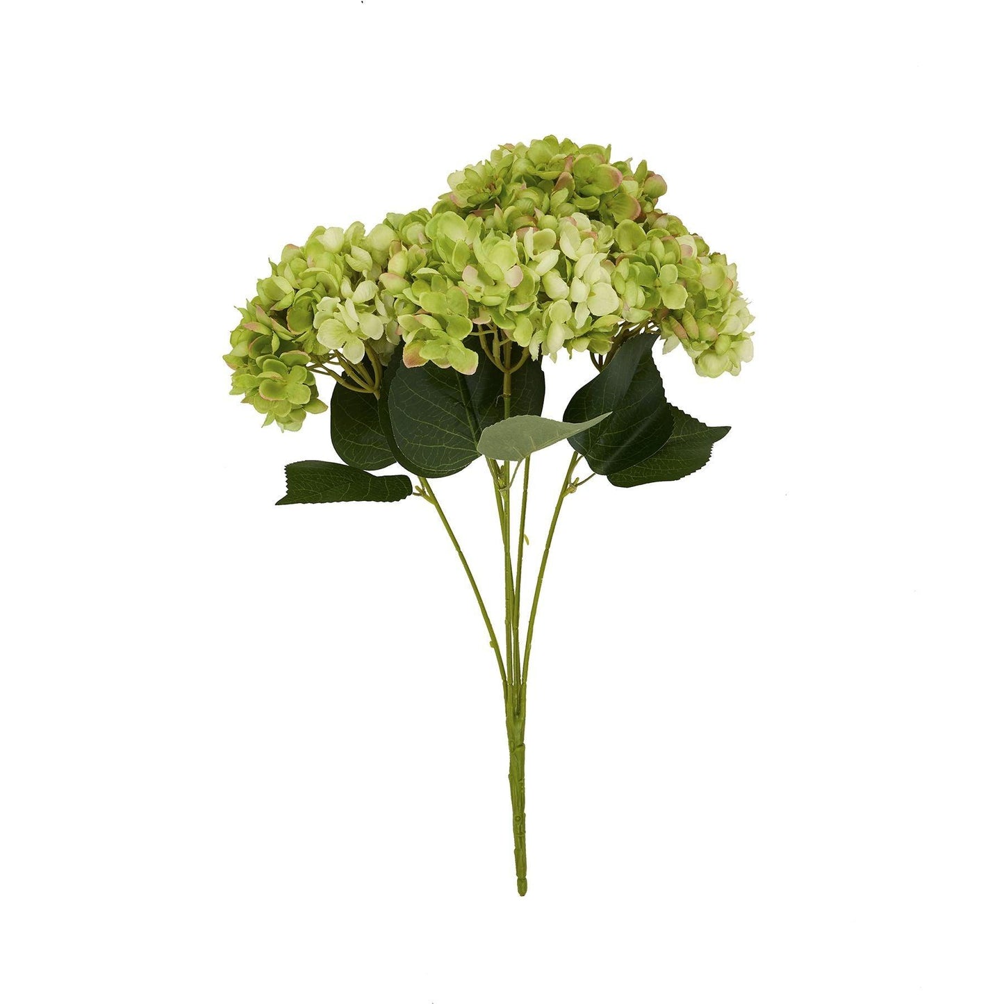 Green Hydrangea Bunch - Eudemonia Home Goods