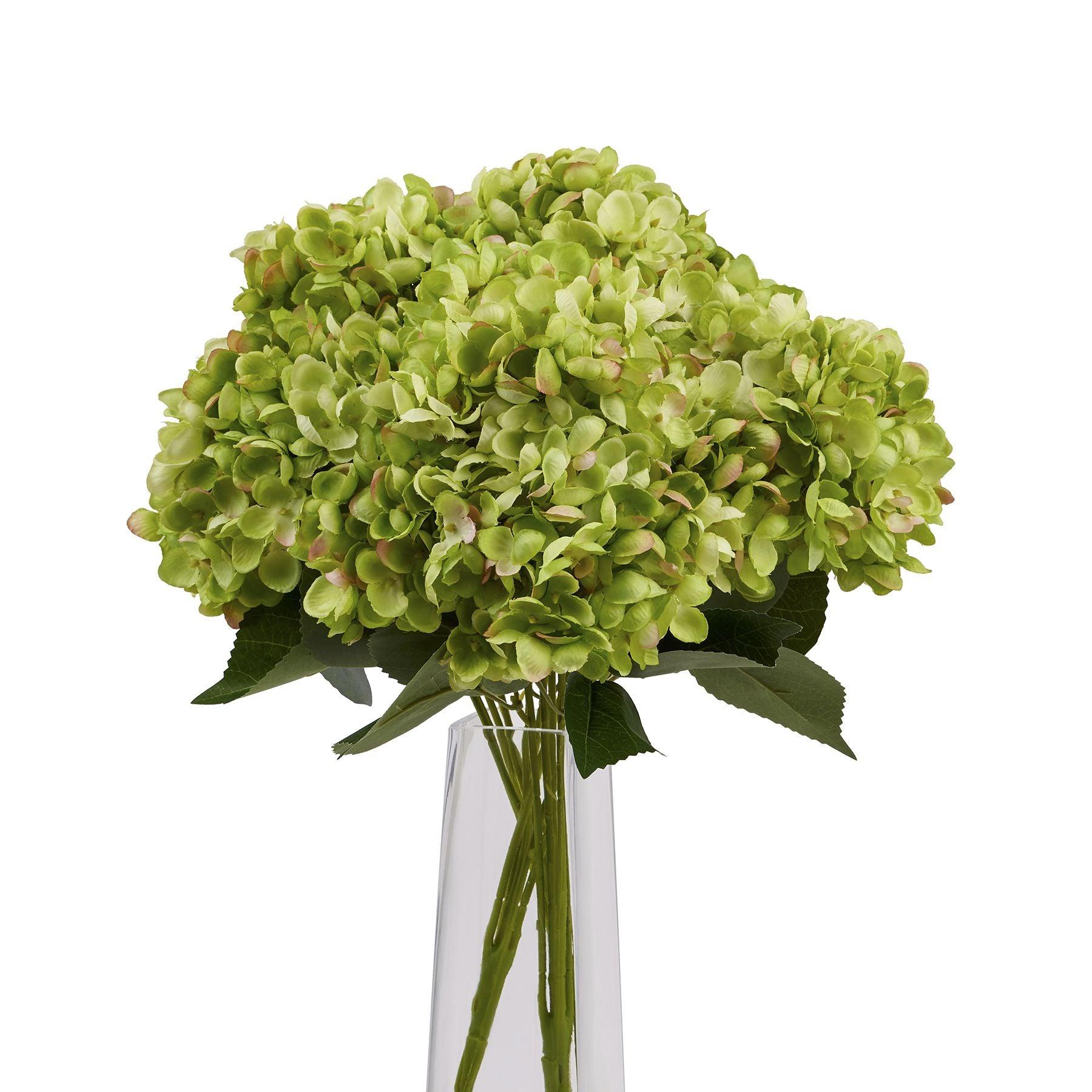 Green Hydrangea Bunch - Eudemonia Home Goods