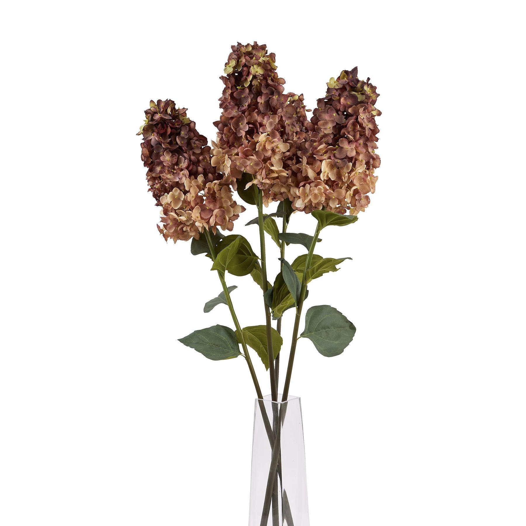 Burgundy Spear Hydrangea - Eudemonia Home Goods