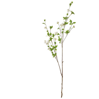 Tall Mock Orange Spray - Eudemonia Home Goods