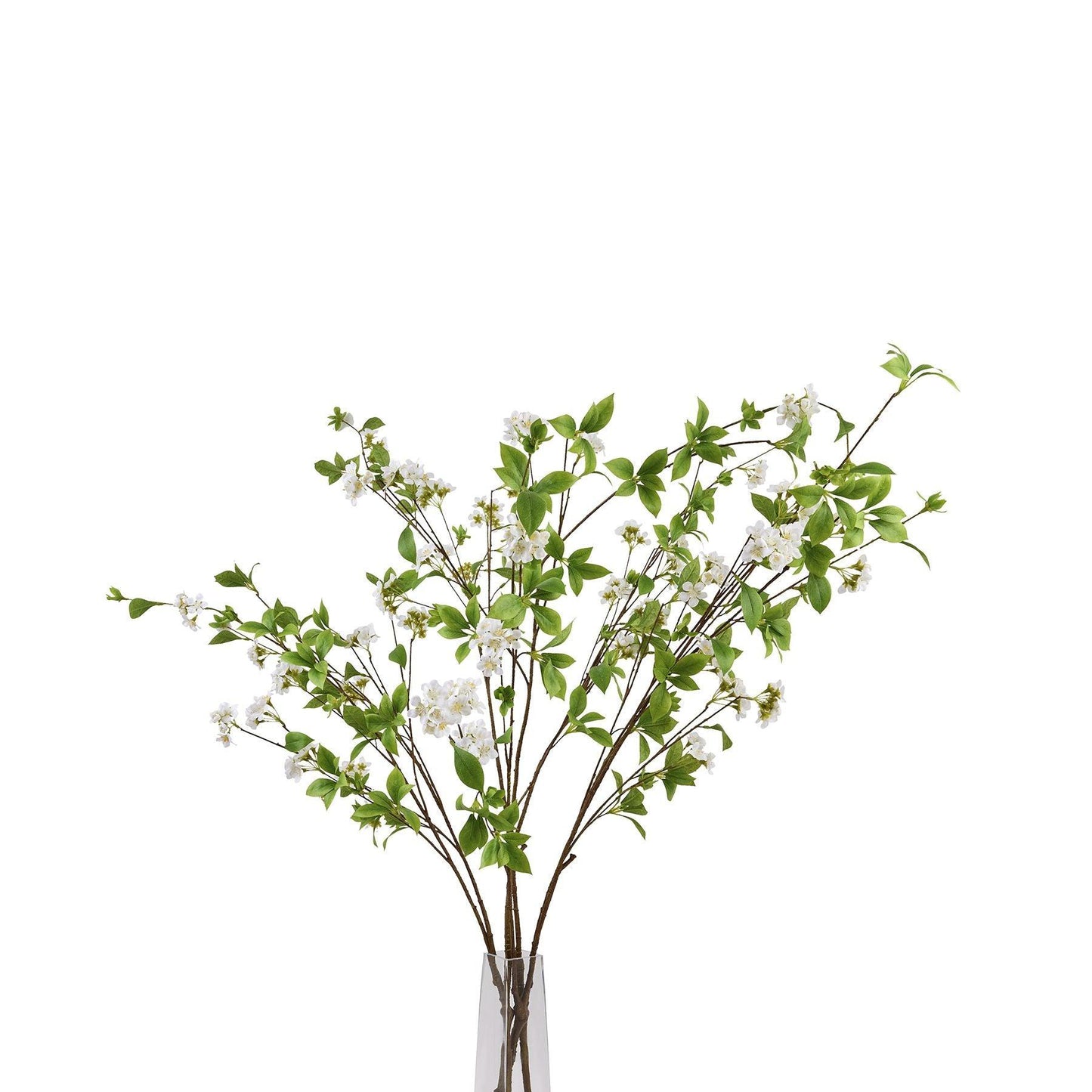 Tall Mock Orange Spray - Eudemonia Home Goods