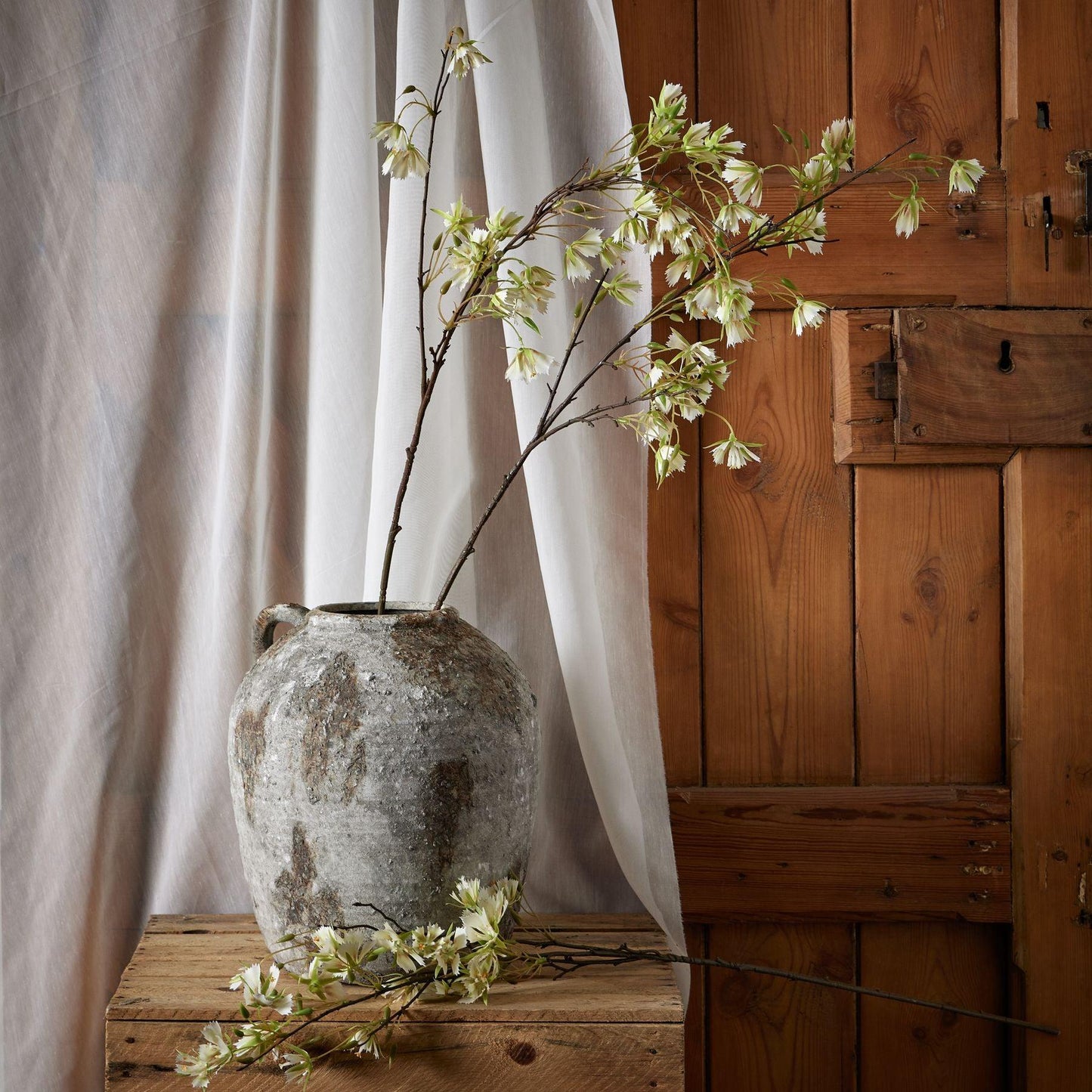 Elaeocarpus Stem - Eudemonia Home Goods