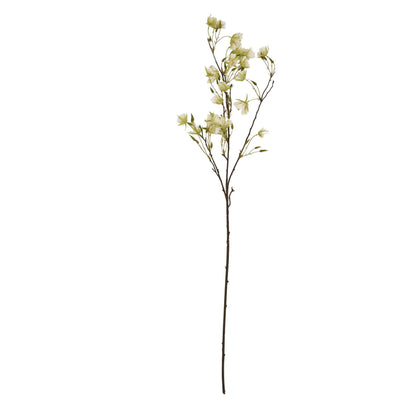 Elaeocarpus Stem - Eudemonia Home Goods