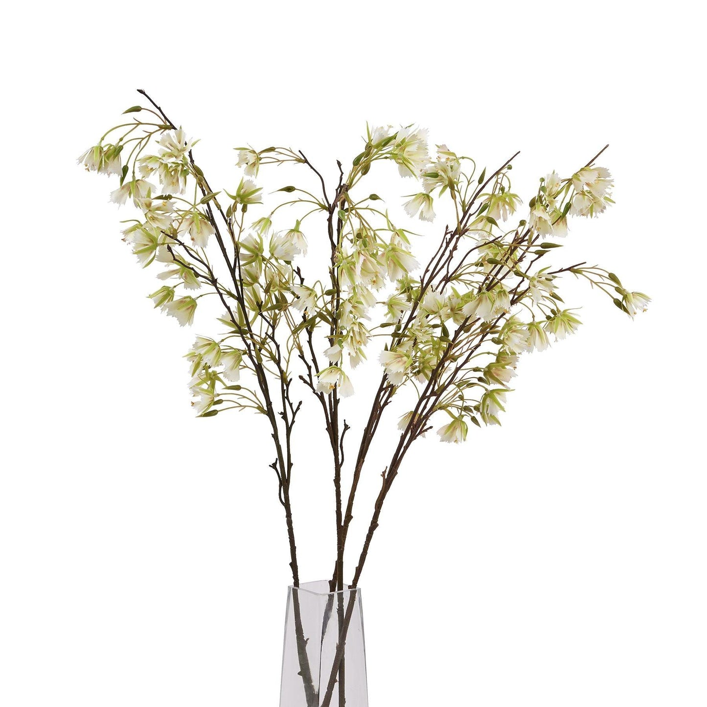 Elaeocarpus Stem - Eudemonia Home Goods