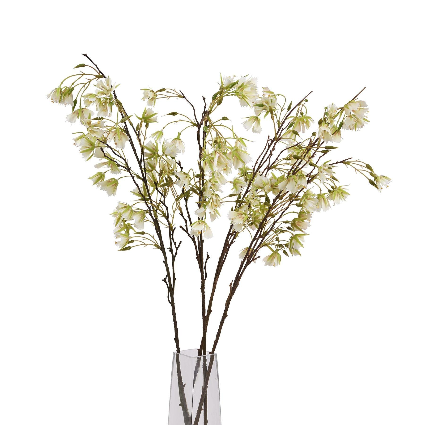 Elaeocarpus Stem - Eudemonia Home Goods