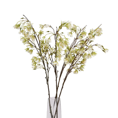 Elaeocarpus Stem - Eudemonia Home Goods