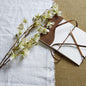 Elaeocarpus Stem - Eudemonia Home Goods