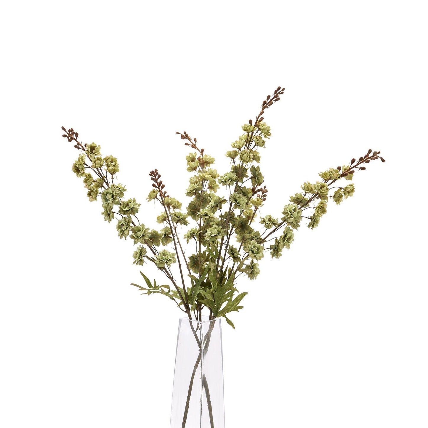 Tall Green Hops Stem - Eudemonia Home Goods