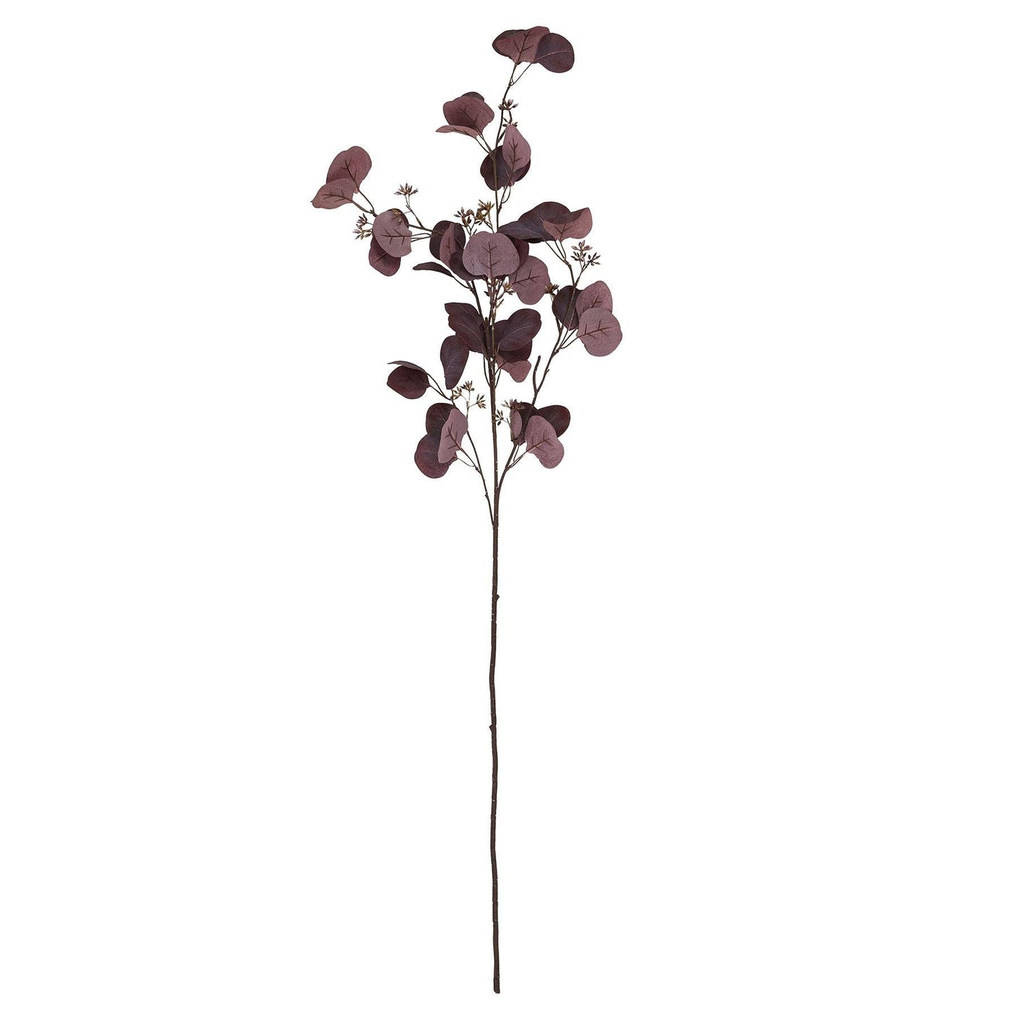 Burgundy Berried Eucalyiptus - Eudemonia Home Goods