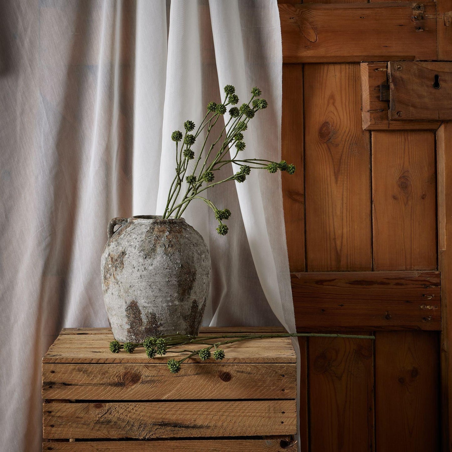 Green Craspedia Stem - Eudemonia Home Goods