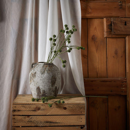 Green Craspedia Stem - Eudemonia Home Goods