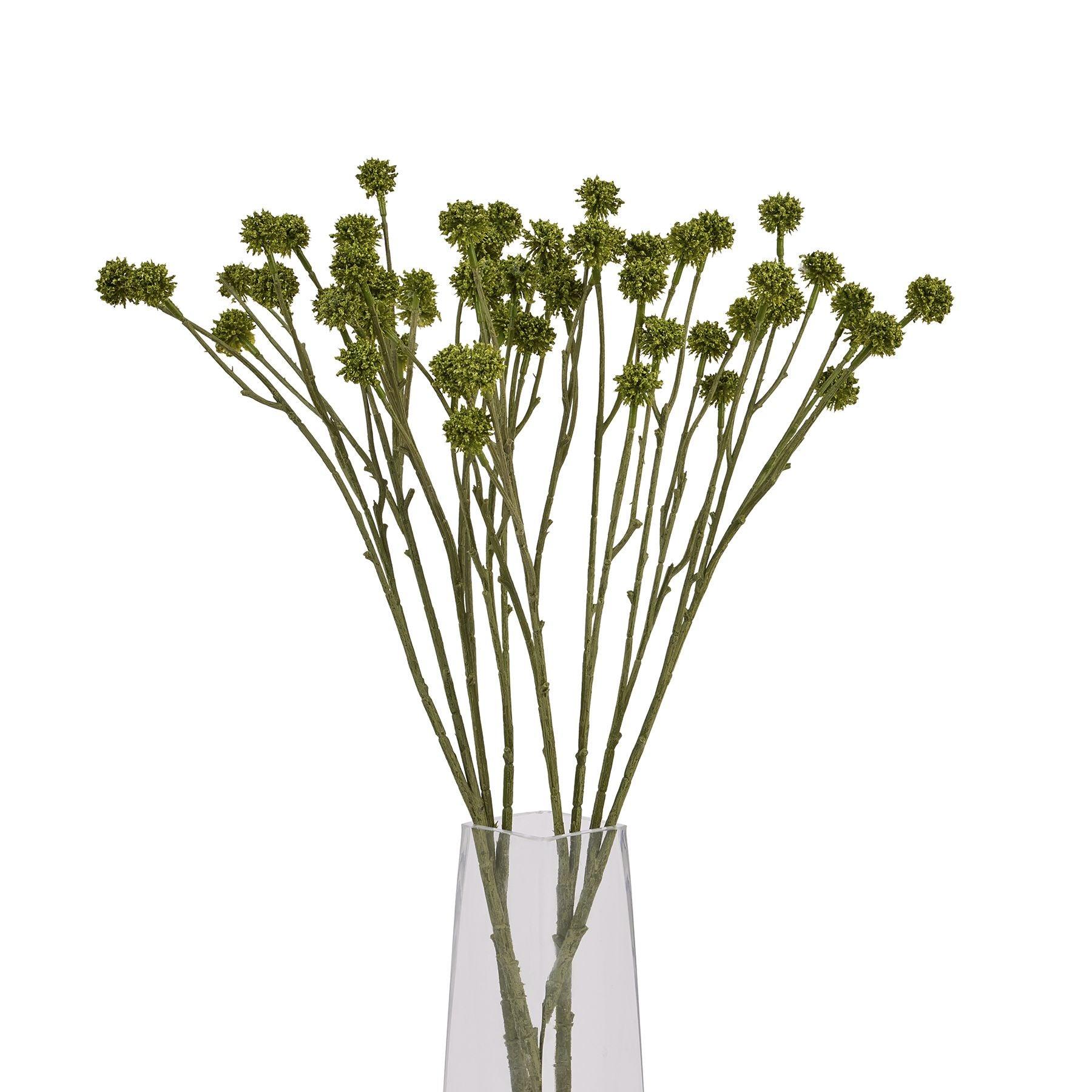 Green Craspedia Stem - Eudemonia Home Goods