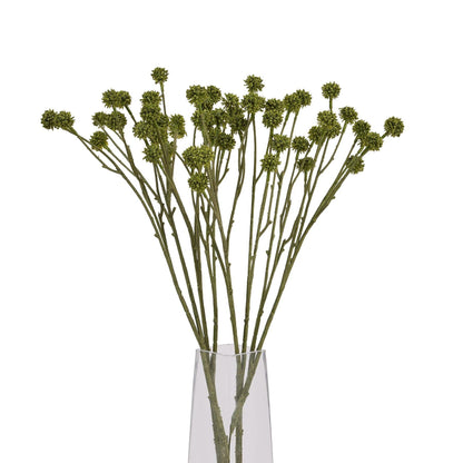 Green Craspedia Stem - Eudemonia Home Goods