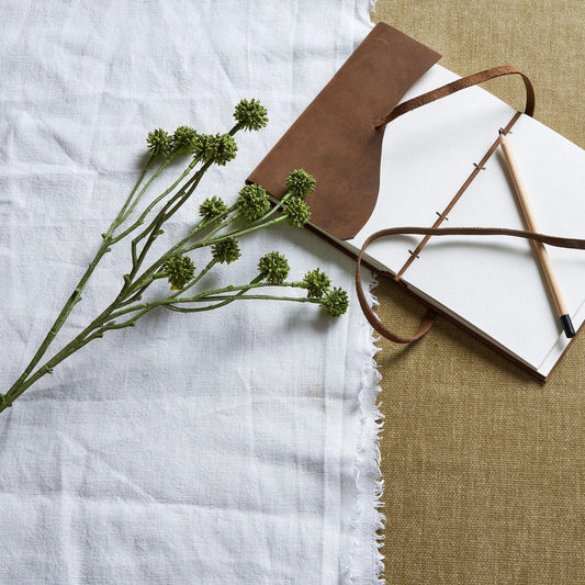 Green Craspedia Stem - Eudemonia Home Goods