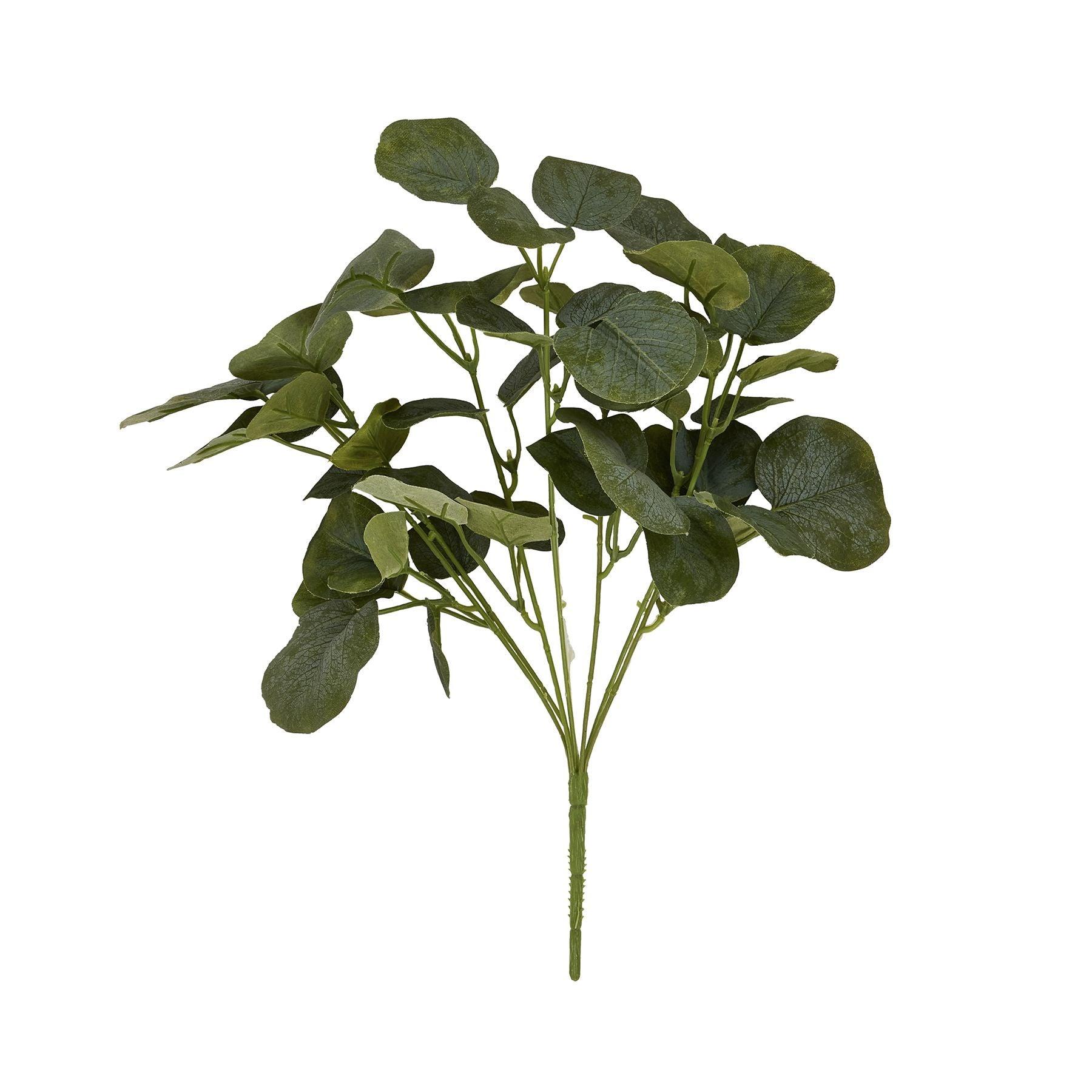 Short Eucalyptus Bunch - Eudemonia Home Goods