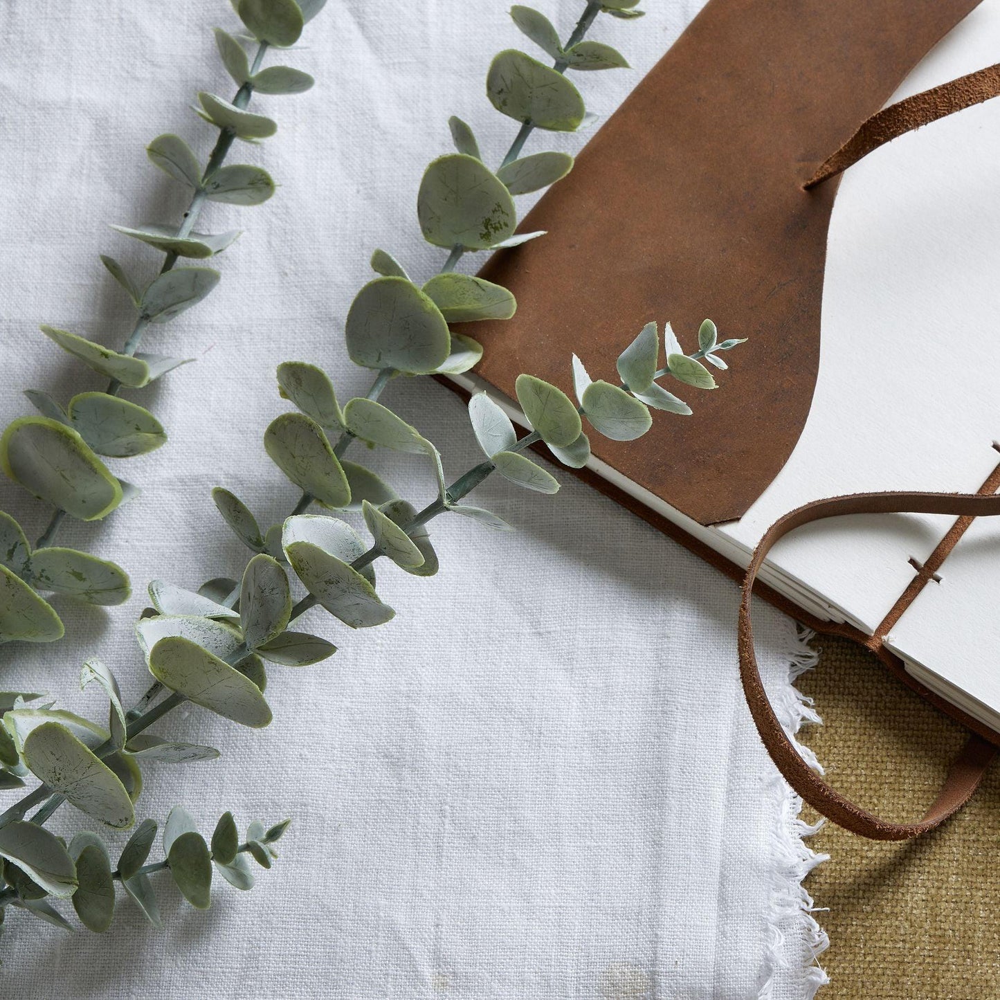 Gunnii Blue Eucalyptus Spray - Eudemonia Home Goods