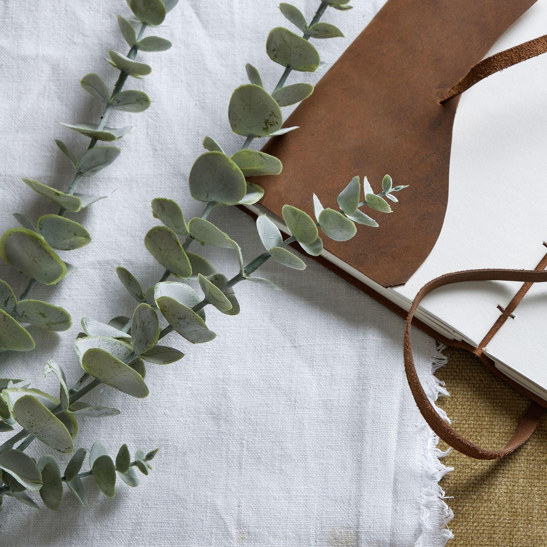 Gunnii Blue Eucalyptus Spray - Eudemonia Home Goods