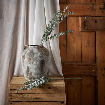 Gunnii Blue Eucalyptus Spray - Eudemonia Home Goods