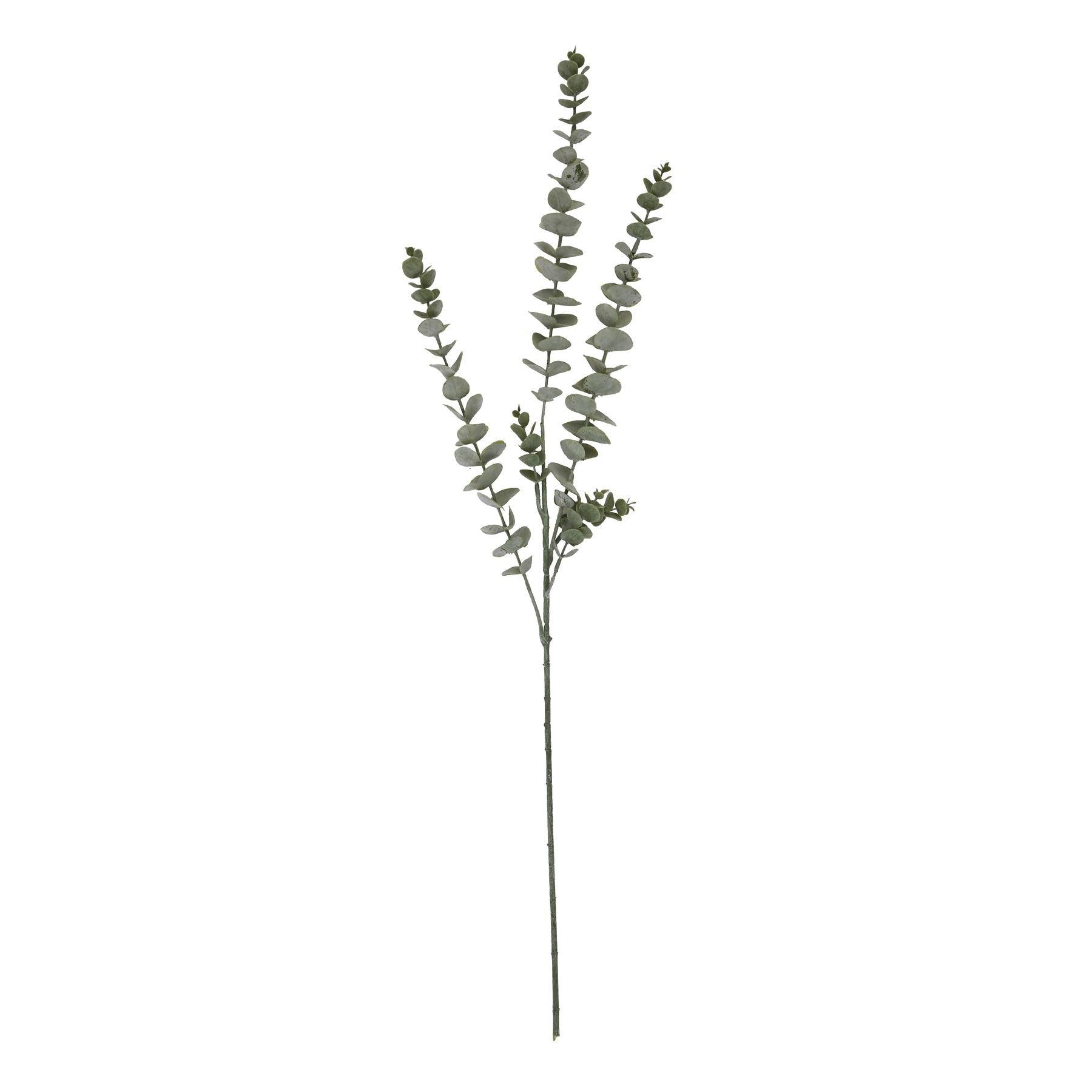 Gunnii Blue Eucalyptus Spray - Eudemonia Home Goods