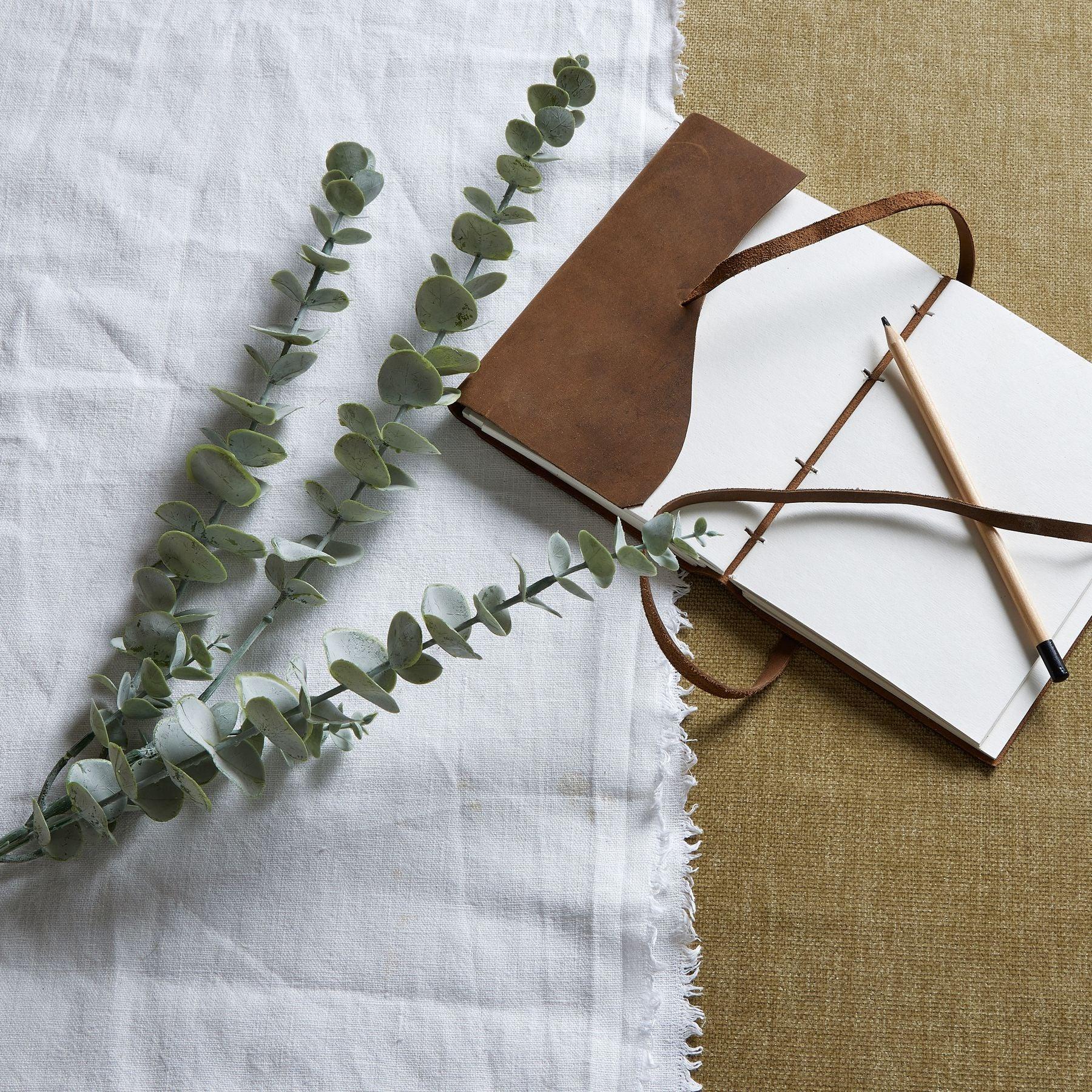 Gunnii Blue Eucalyptus Spray - Eudemonia Home Goods