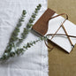 Gunnii Blue Eucalyptus Spray - Eudemonia Home Goods