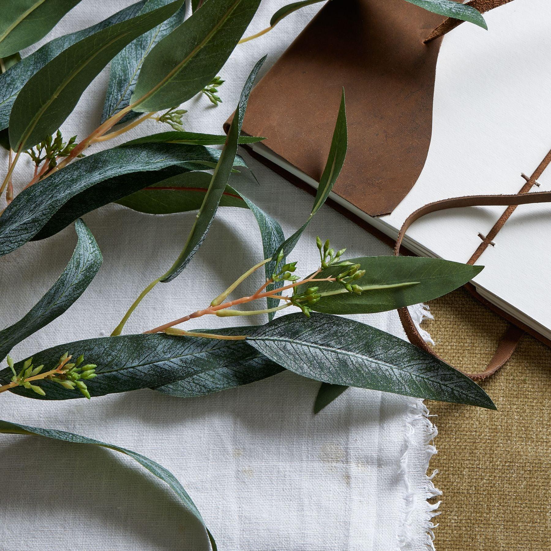 Blue Gum Eucalyptus Branch - Eudemonia Home Goods