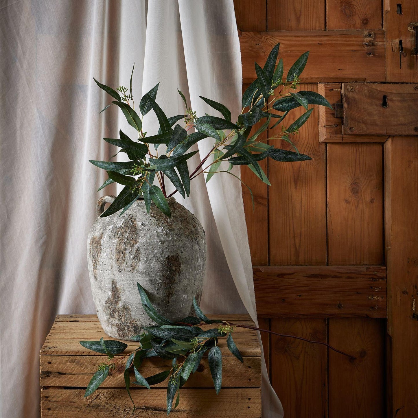 Blue Gum Eucalyptus Branch - Eudemonia Home Goods