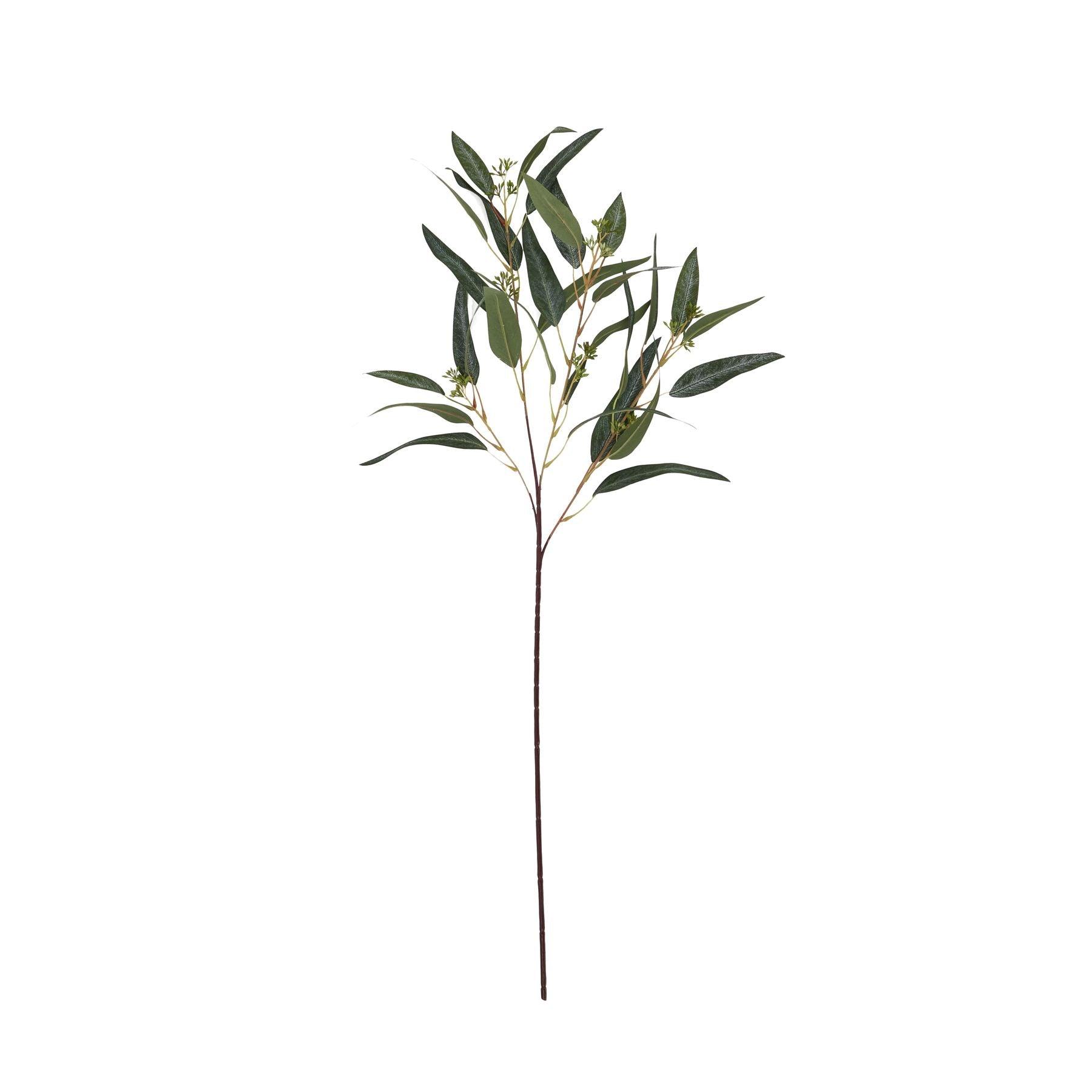 Blue Gum Eucalyptus Branch - Eudemonia Home Goods