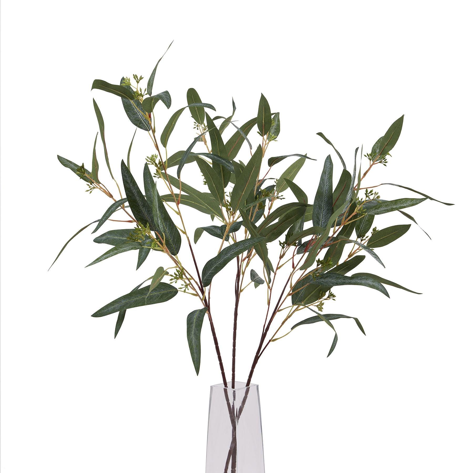 Blue Gum Eucalyptus Branch - Eudemonia Home Goods