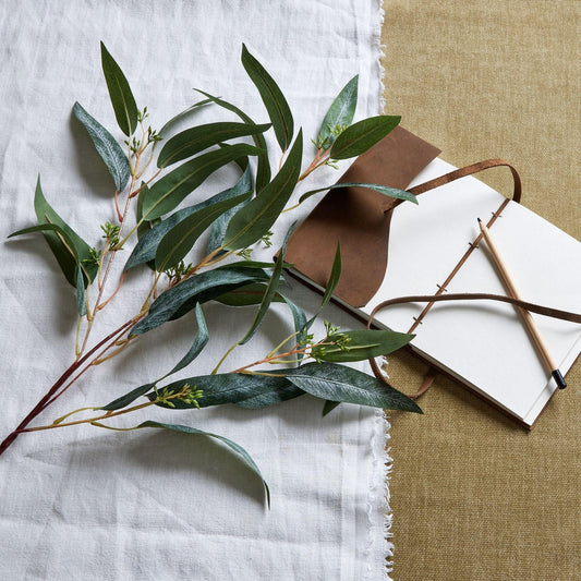 Blue Gum Eucalyptus Branch - Eudemonia Home Goods