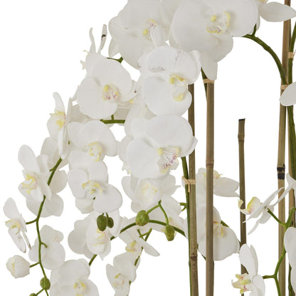 Large White Orchid In Antique Stone Pot - Eudemonia Home Goods
