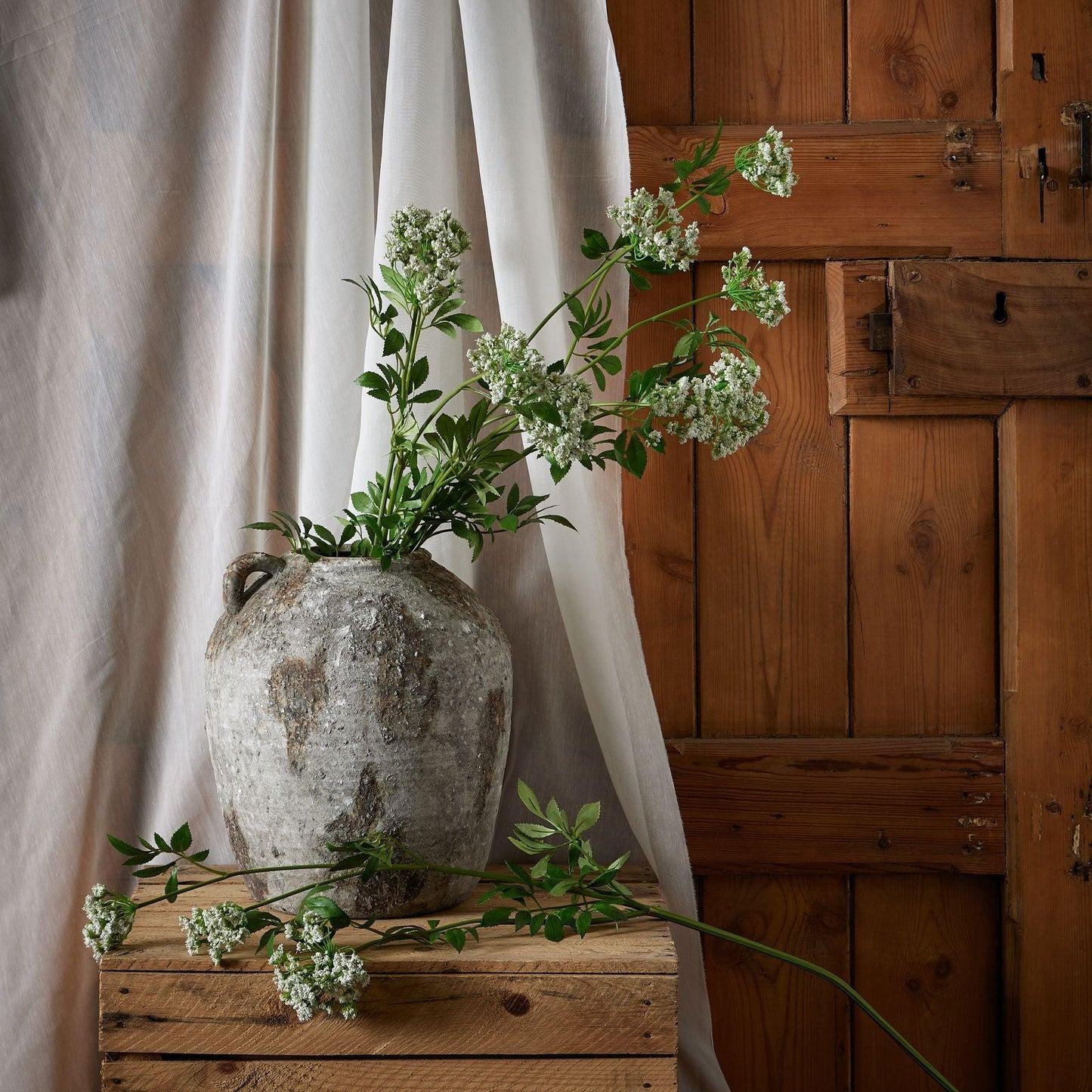 Faux White Cow Parsley Ammi - Eudemonia Home Goods
