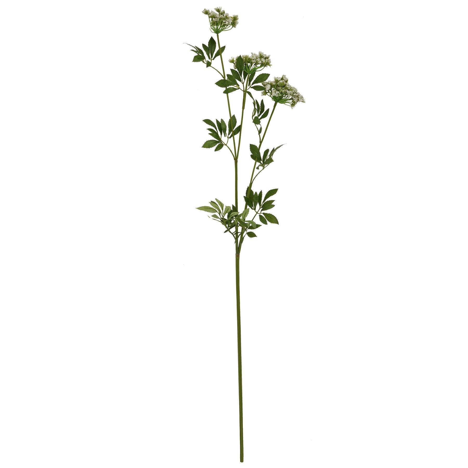 Faux White Cow Parsley Ammi - Eudemonia Home Goods