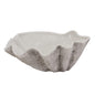 Large Ceramic Adele Shell Bowl - Eudemonia Home Goods