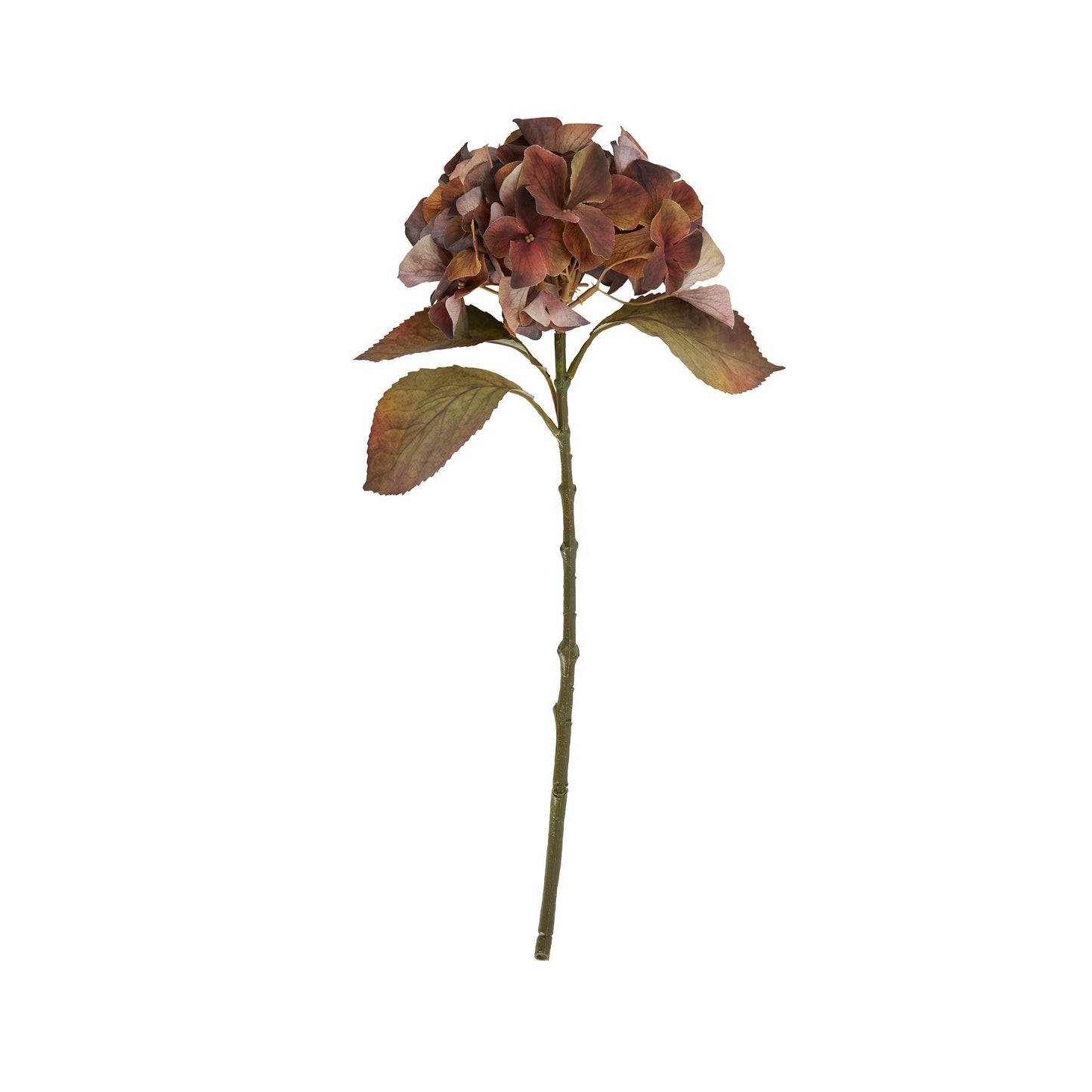 Mixed Autumn Browns Single Hydrangea Stem - Eudemonia Home Goods