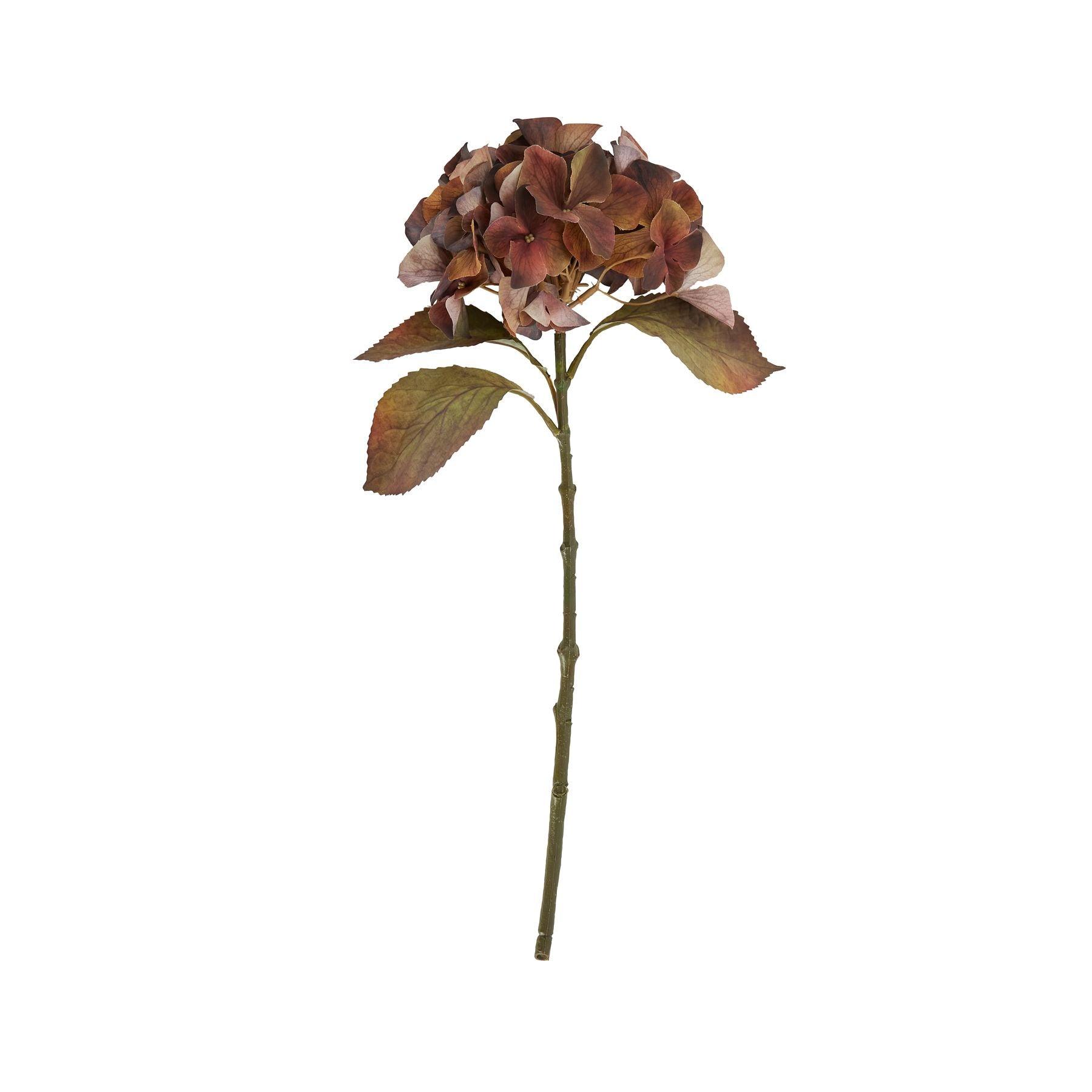 Mixed Autumn Browns Single Hydrangea Stem - Eudemonia Home Goods