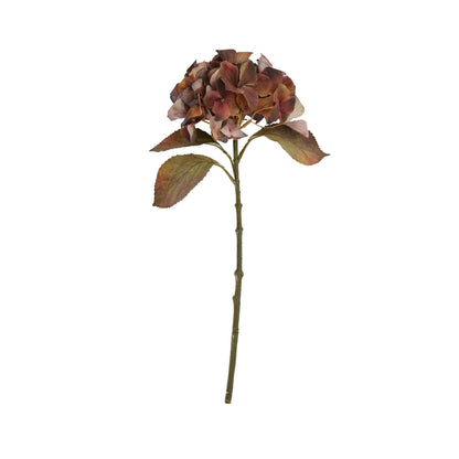 Mixed Autumn Browns Single Hydrangea Stem - Eudemonia Home Goods