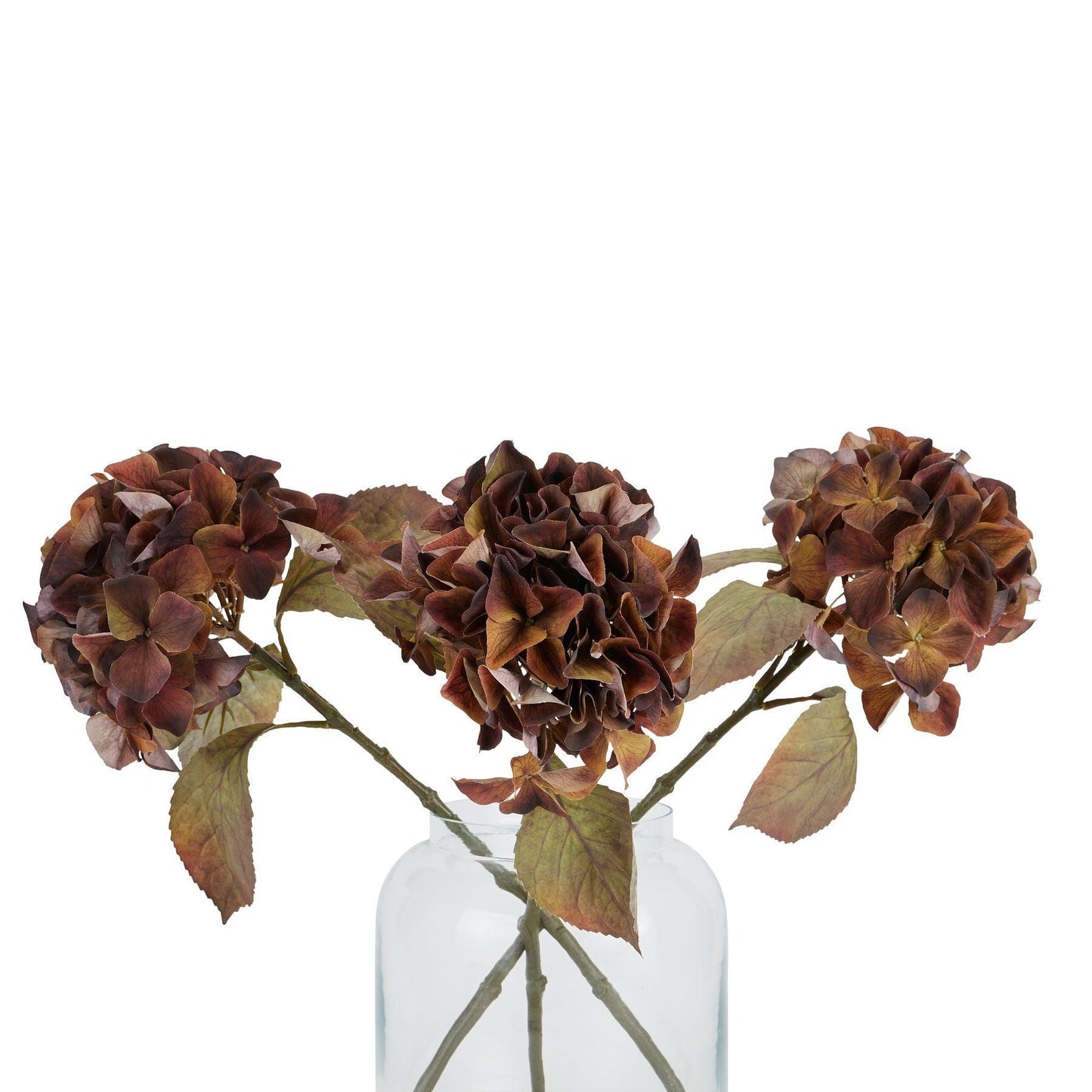 Mixed Autumn Browns Single Hydrangea Stem - Eudemonia Home Goods
