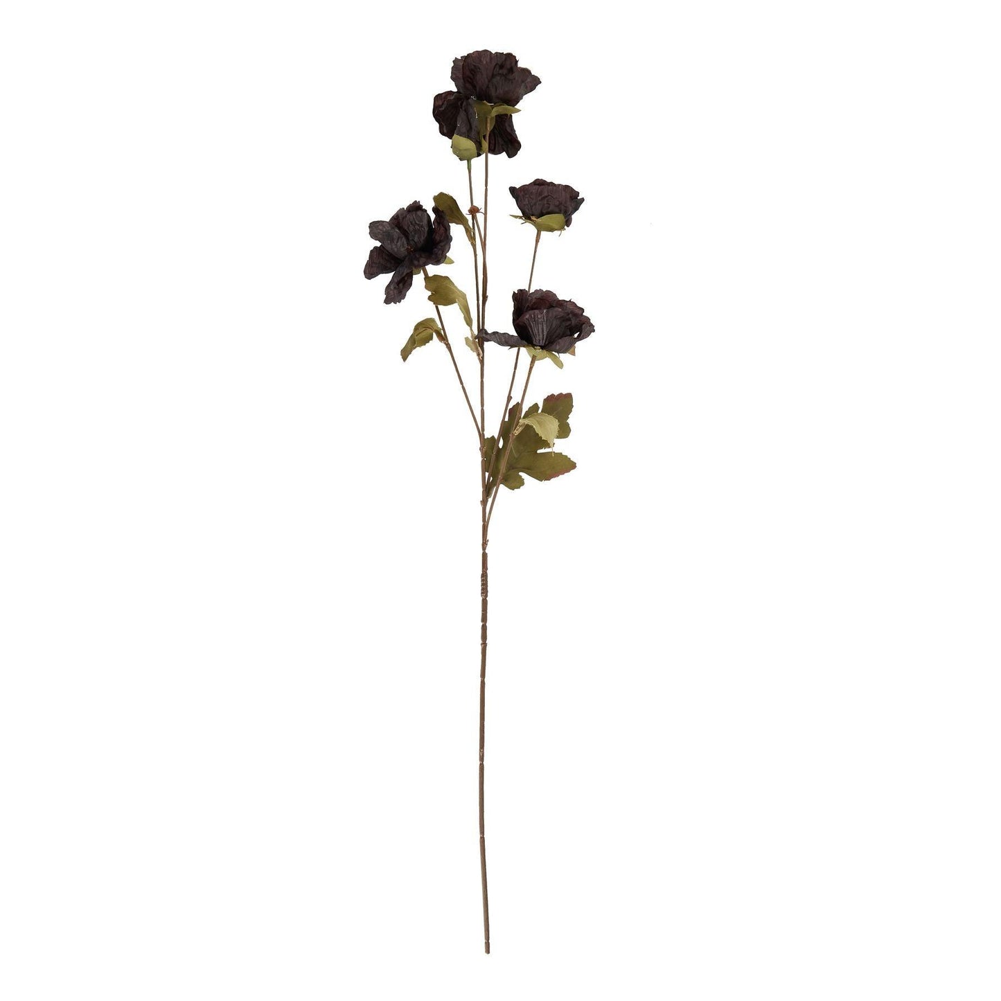 Tall Black Poppy Stem - Eudemonia Home Goods
