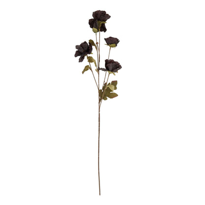 Tall Black Poppy Stem - Eudemonia Home Goods