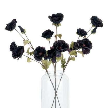 Tall Black Poppy Stem - Eudemonia Home Goods