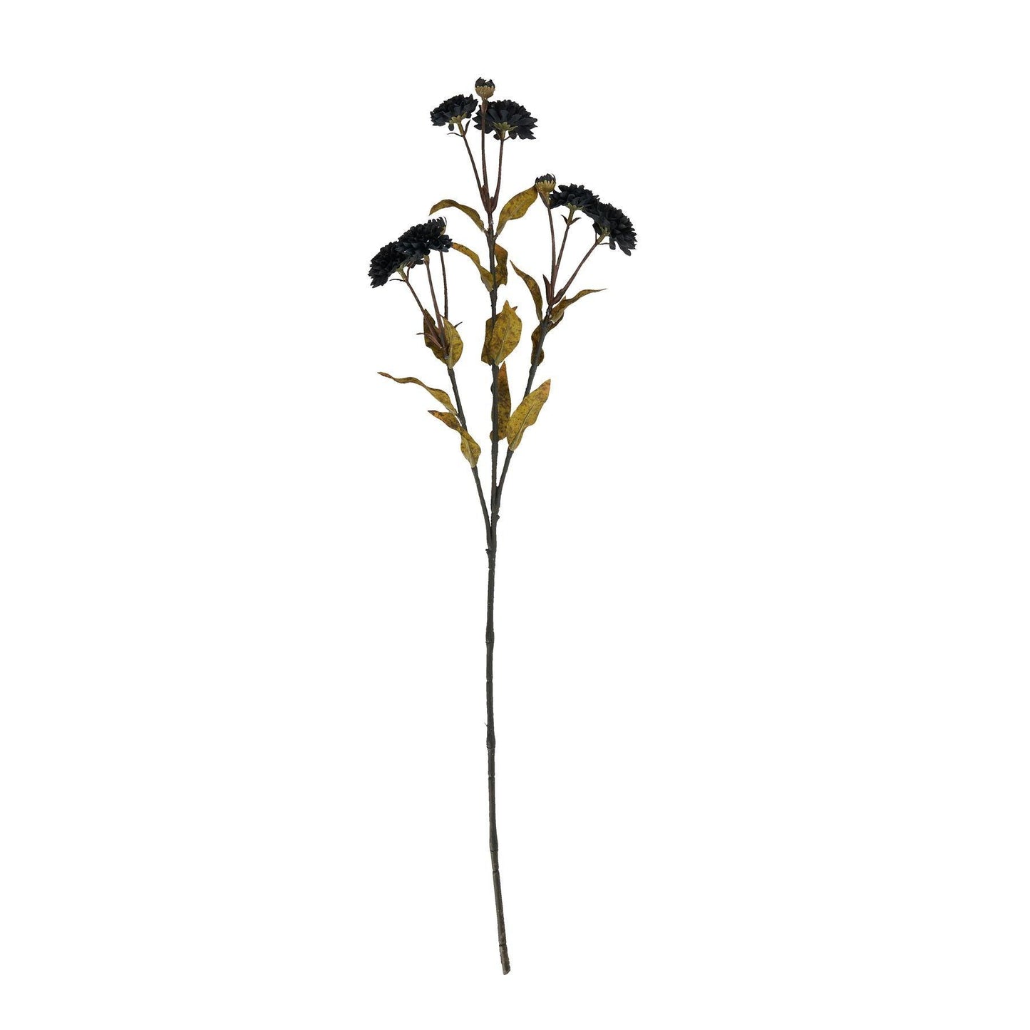 Black Chrysanthemum Stem - Eudemonia Home Goods