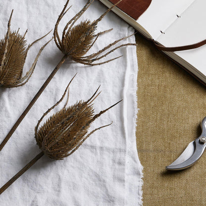 Large Brown Triple Teasle Stem - Eudemonia Home Goods
