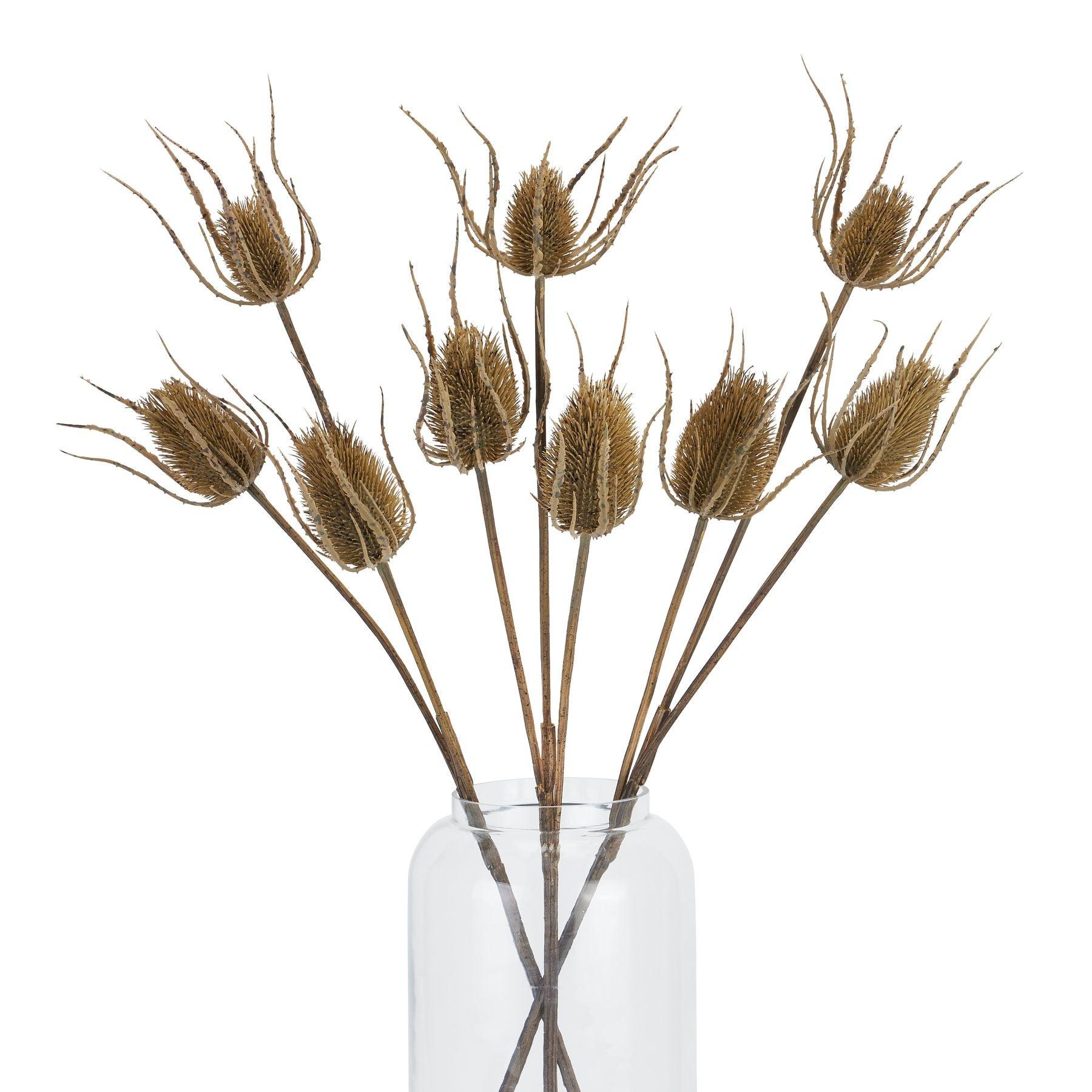 Large Brown Triple Teasle Stem - Eudemonia Home Goods