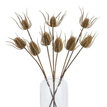 Large Brown Triple Teasle Stem - Eudemonia Home Goods