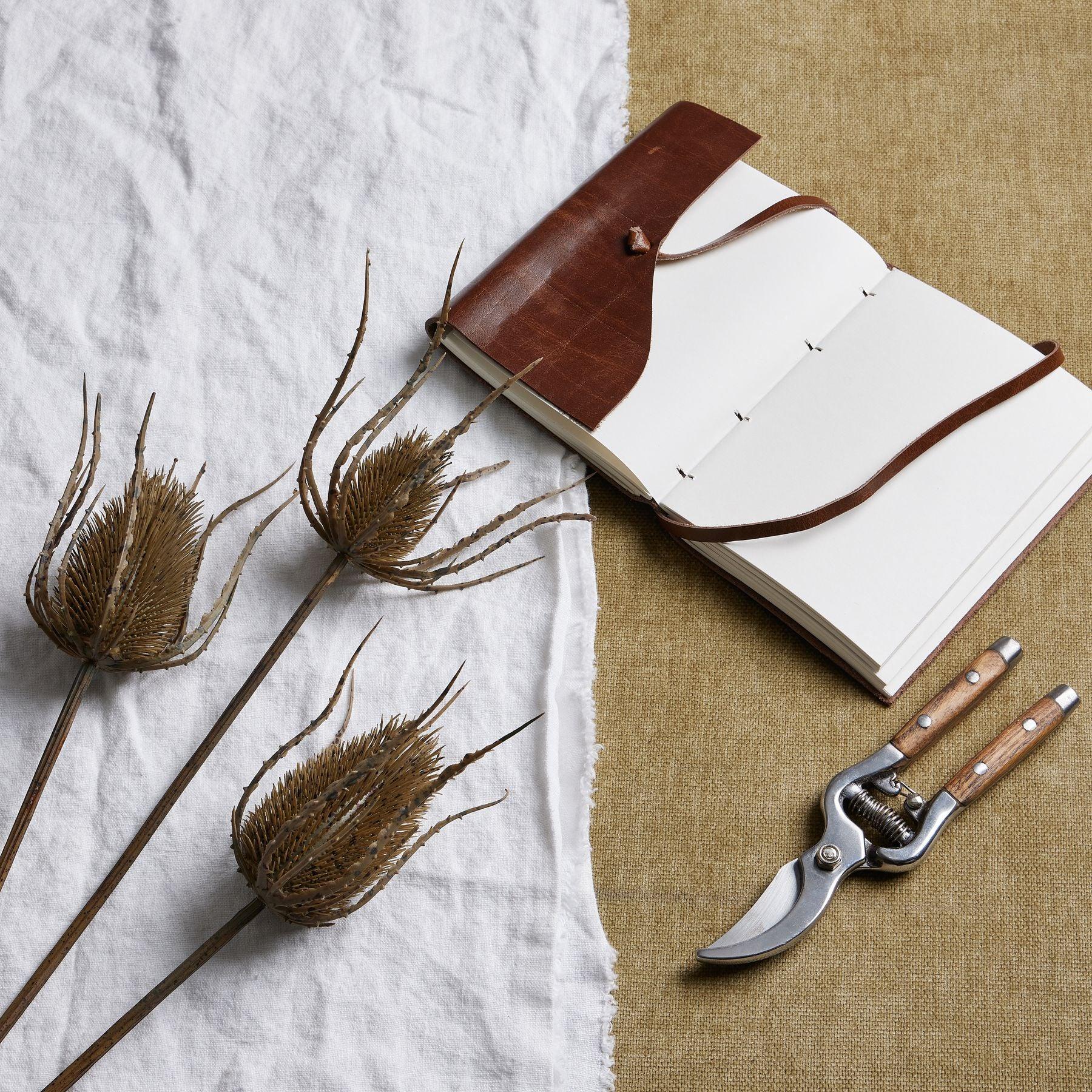 Large Brown Triple Teasle Stem - Eudemonia Home Goods