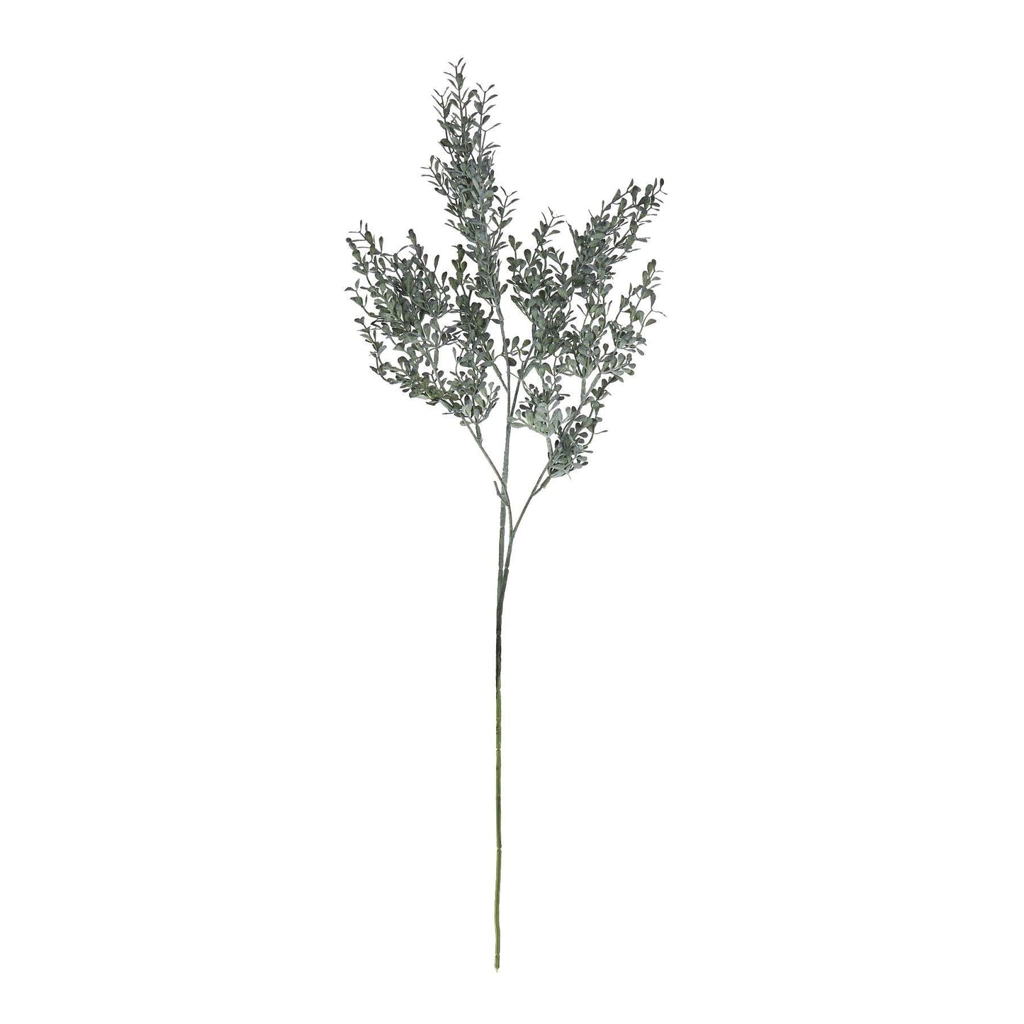 Blackened Grass Spray Stem - Eudemonia Home Goods