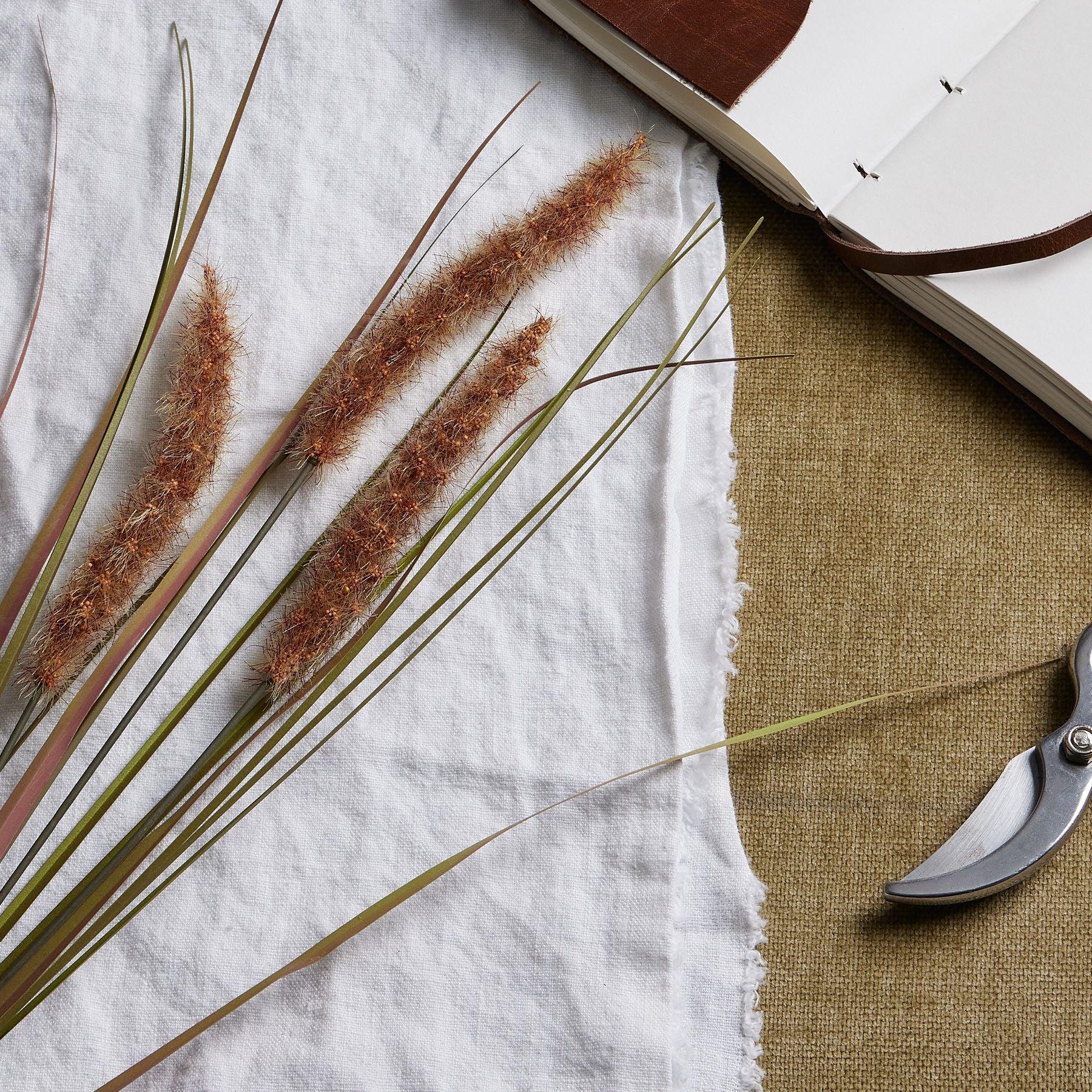 Terracotta Triple Grass Stem - Eudemonia Home Goods